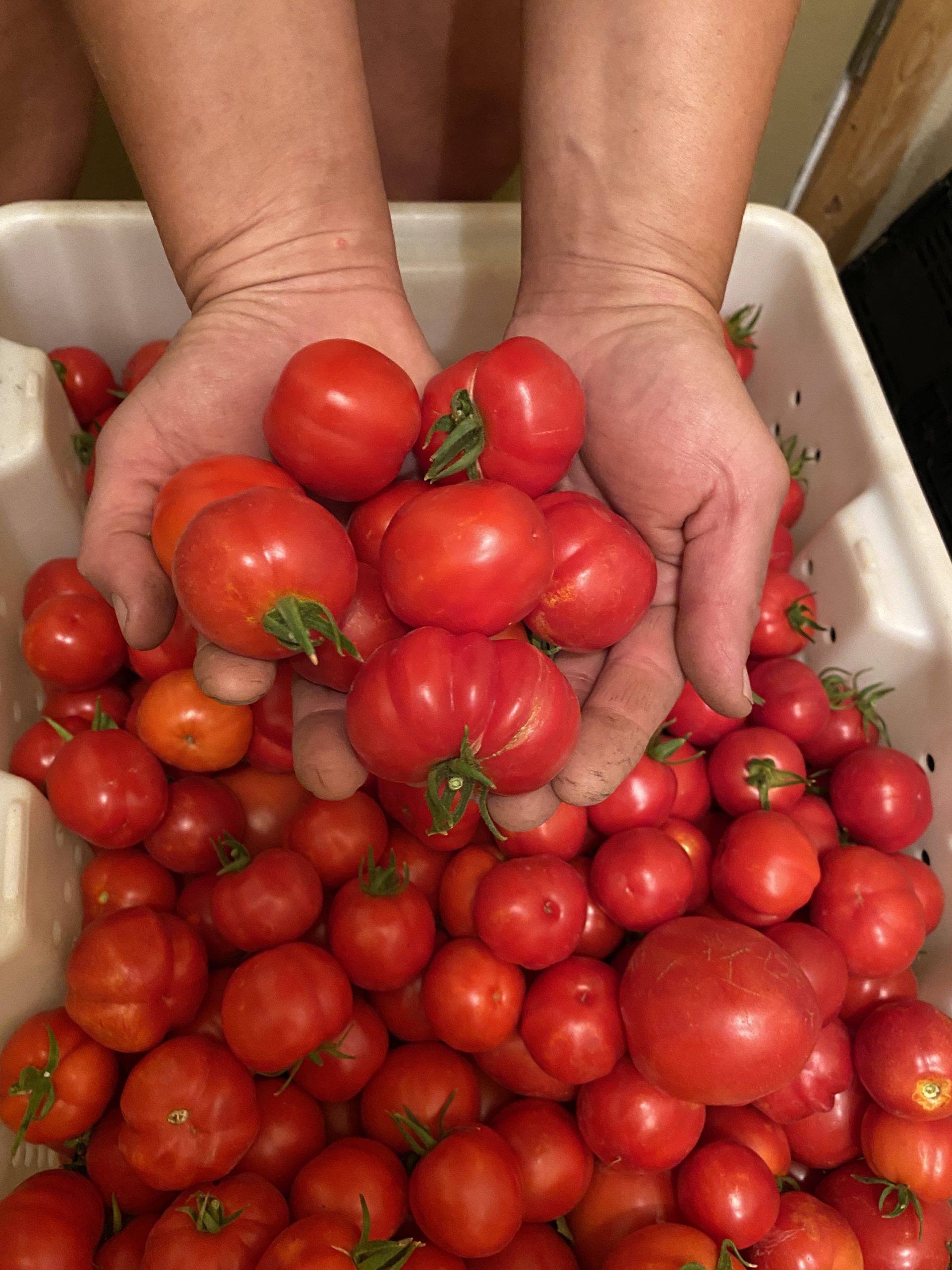 tomato timer sites with chart tomato timer sites with chart
